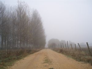 Camino de Santiago