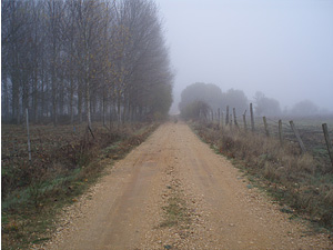 Camino