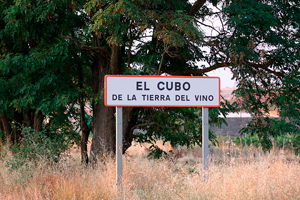 Entrada al Ayuntamiento del Cubo del Vino
