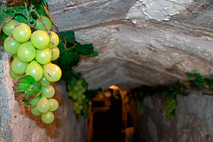 Bodega en el Cubo del Vino, Zamora