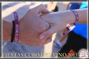 Fiestas Patronales Sto. Domingo de Gzman 2015
